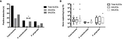 Systemic and Extraradicular Bacterial Translocation in Apical Periodontitis